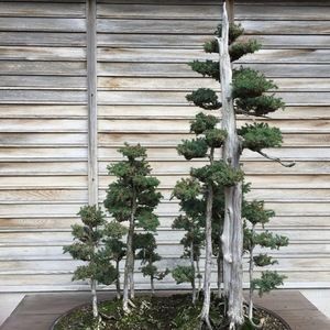 Meet your Posher, Jessie